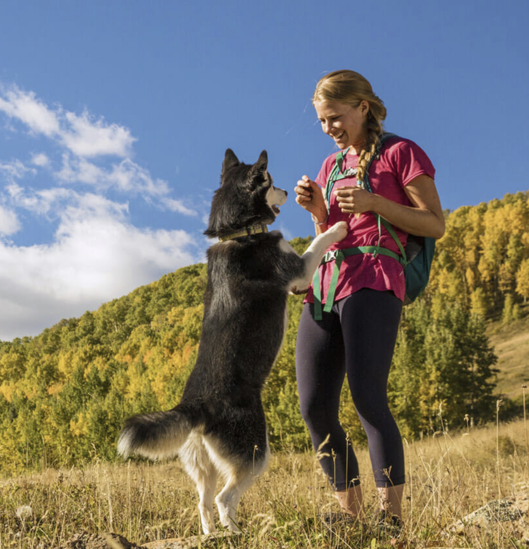 Zuke's Dog Treats Review Your Pup Will Be Jumping • The Customer Digest